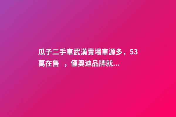 瓜子二手車武漢賣場車源多，5.3萬在售，僅奧迪品牌就有3000多輛